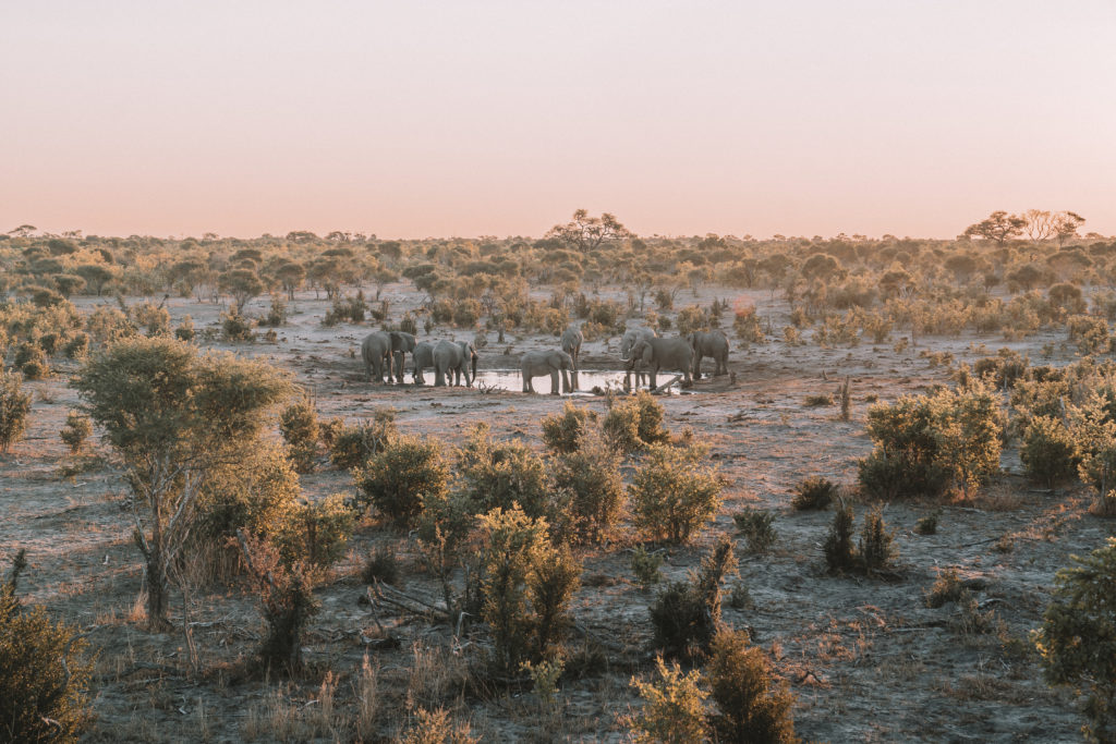 Sable Alley Botswana | WORLD OF WANDERLUST
