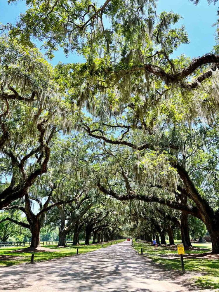 Weekend in Charleston Itinerary