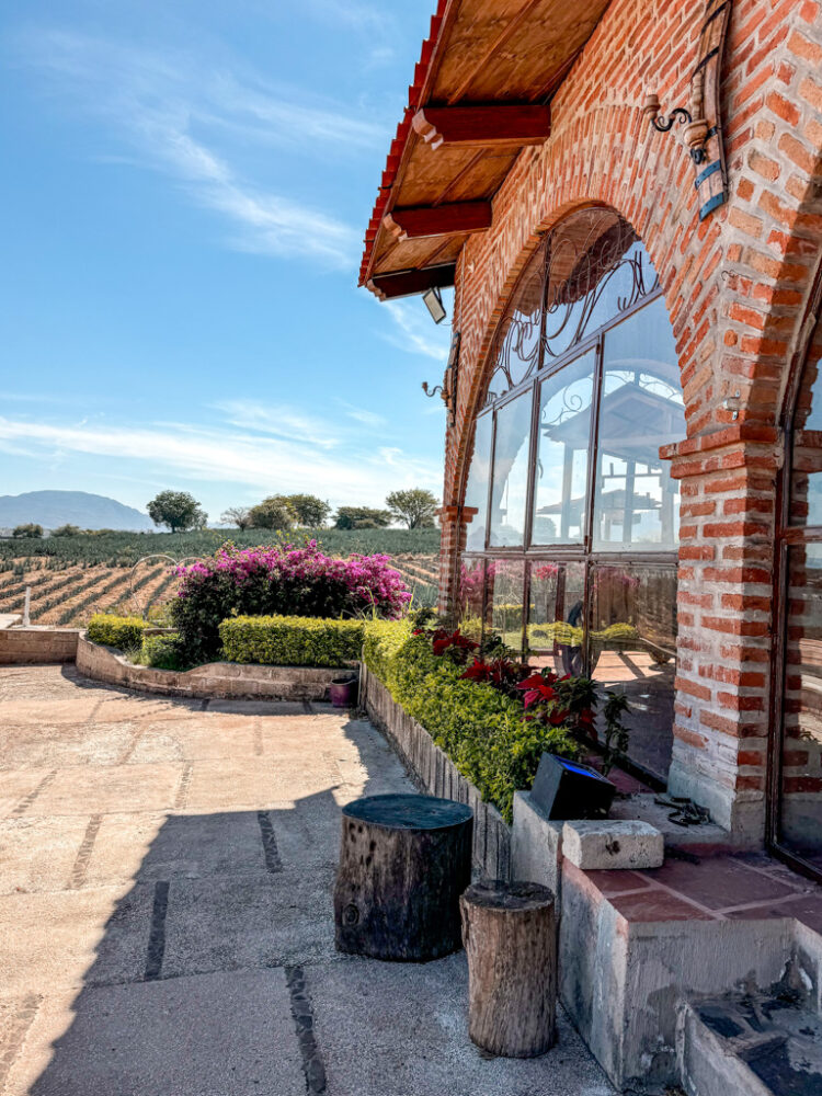 Guadalajara Itinerary: 4 Days in Guadalajara