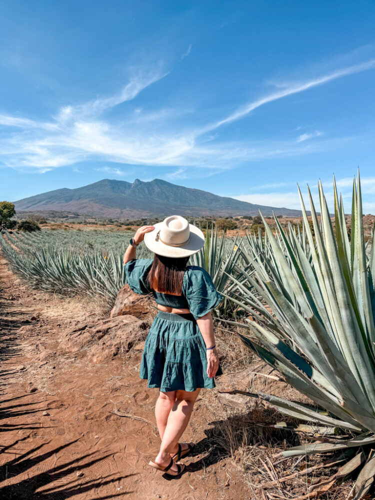 Guadalajara Itinerary: 4 Days in Guadalajara