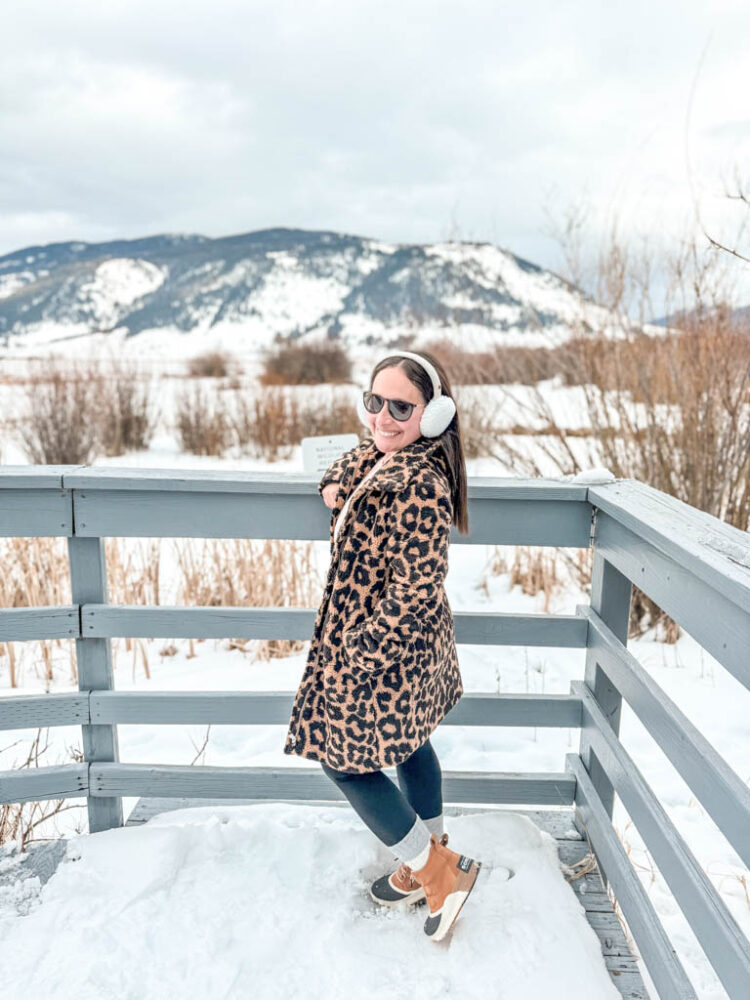 Winter in Jackson Hole