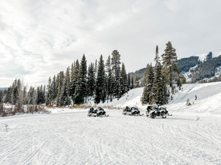 Winter in Jackson Hole