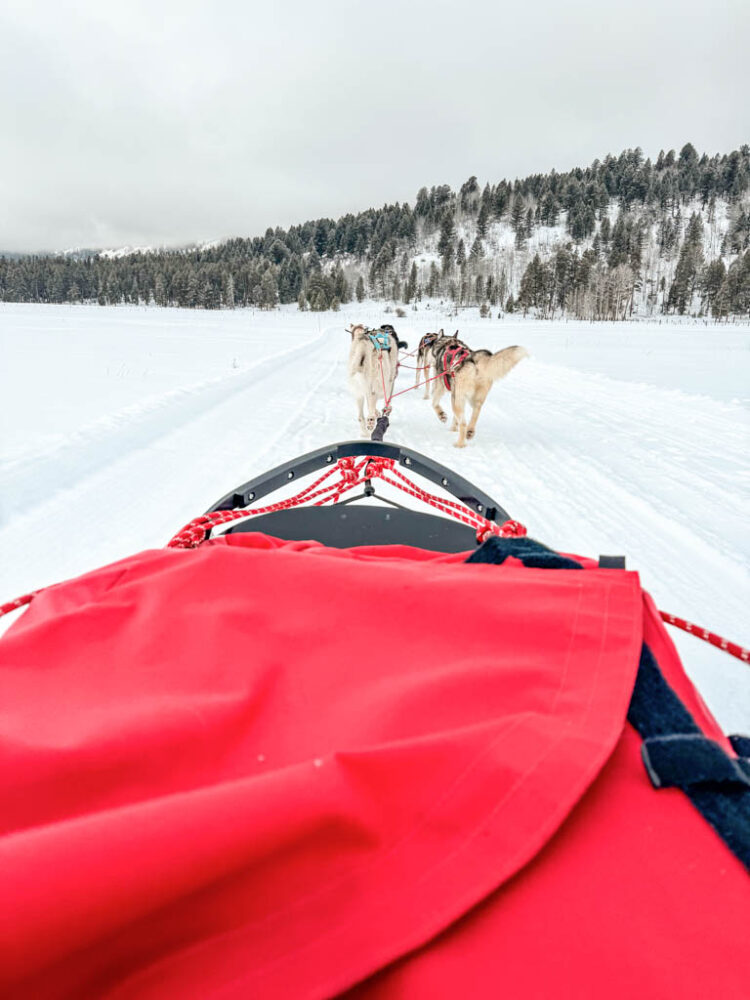 Winter in Jackson Hole
