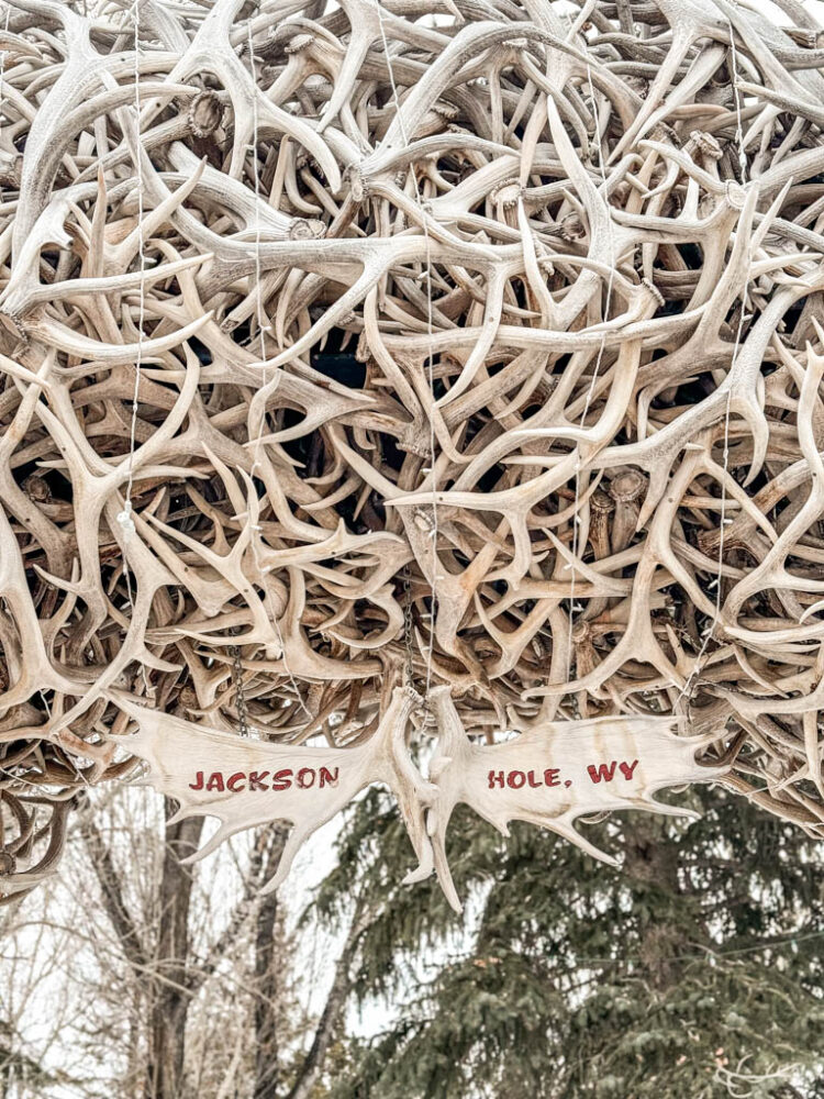 Winter in Jackson Hole