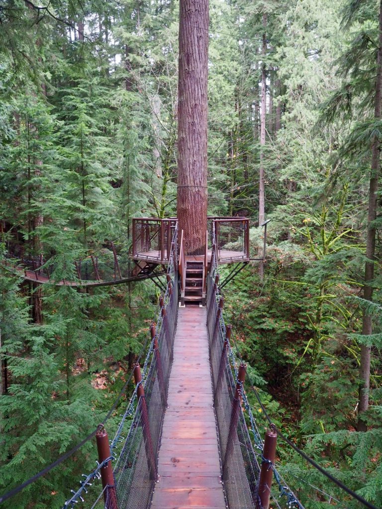 48 Hours in Vancouver | World of Wanderlust