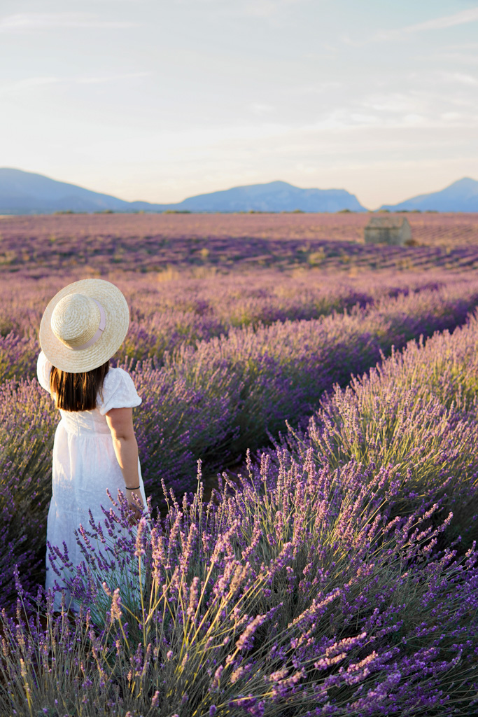 Provence itinerary