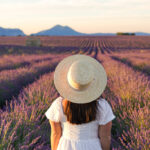 Provence itinerary