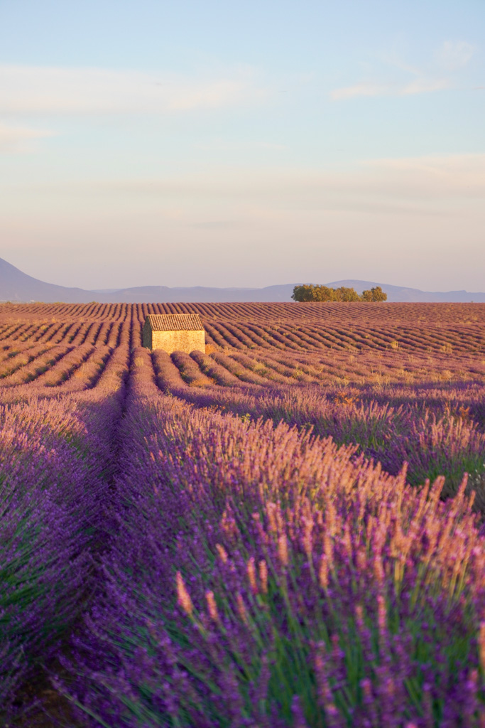 Provence itinerary