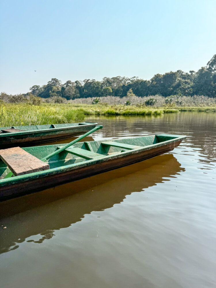 visiting Puerto Maldonado Peru Amazon Rainforest