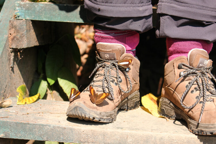 visiting Puerto Maldonado Peru Amazon Rainforest