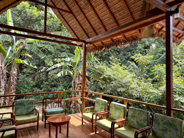 visiting Puerto Maldonado Peru Amazon Rainforest