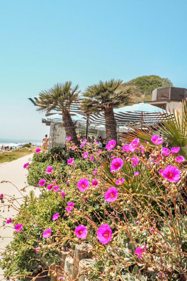 weekend in Santa Barbara itinerary