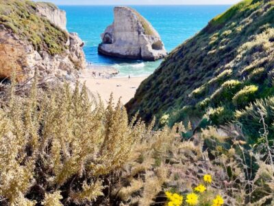 shark fin cove