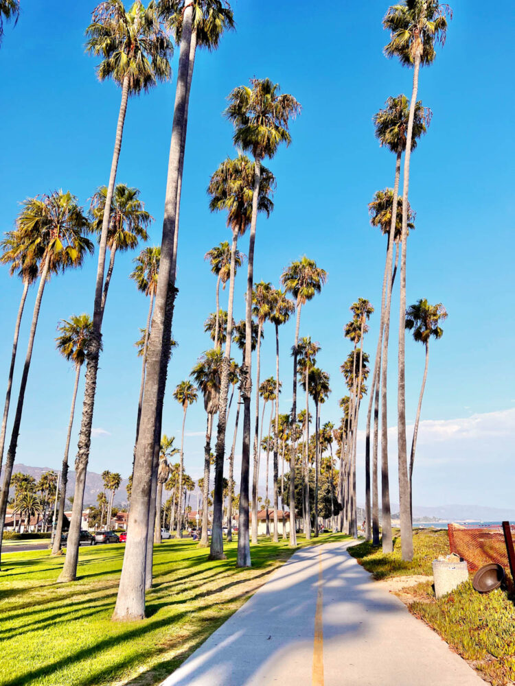 Visiting All 50 States by Age 40 (My 50 States Challenge)